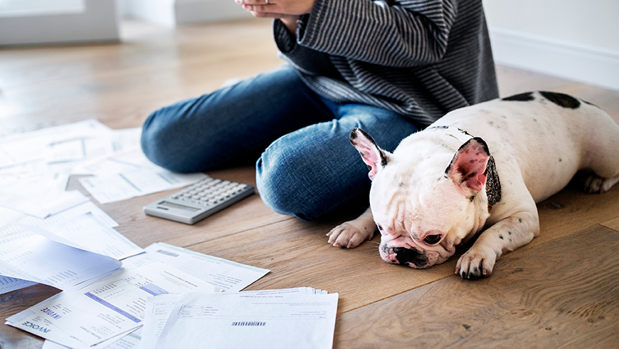 image of bills on the floor with dog sitting next to a woman. 