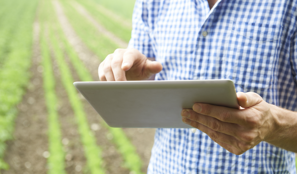 farmer looking at a laptop in the field
